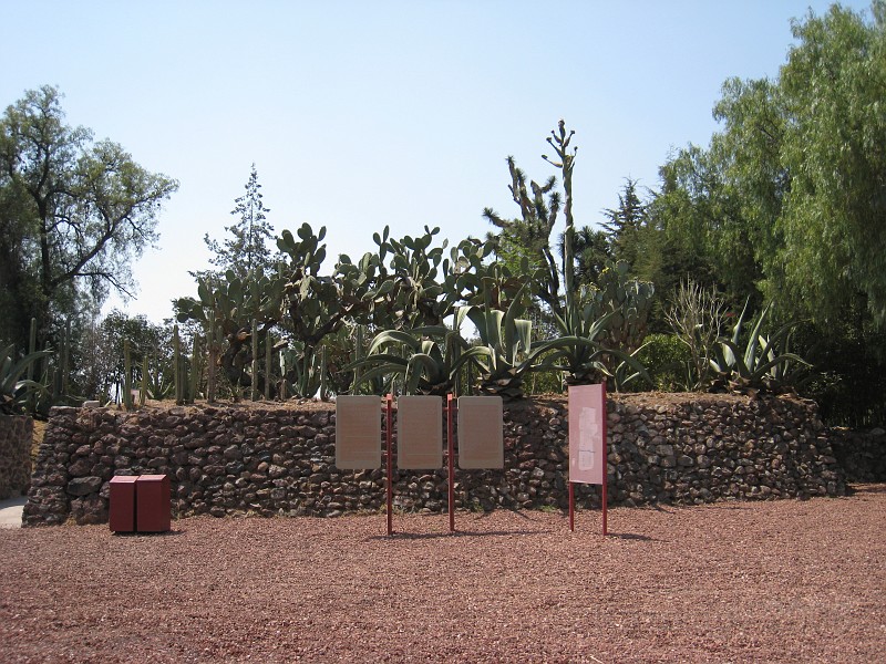 Mexico Pyramids - Mexico City 2009 0995.jpg - A trip to the Teotihuacan area of Mexico to visit the pyramids. A vast complex and a great climb to the top. This was followed by lunch in a cave, then a visit to the historical center of Mexico City. March 2009.
